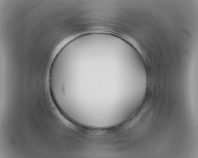 X0000113761387200910141038