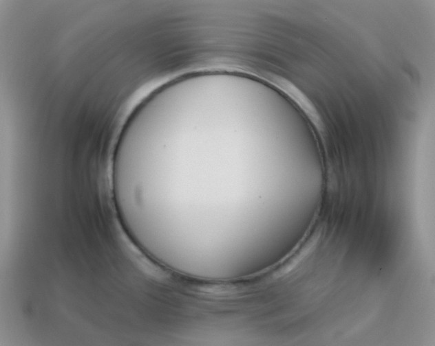 X0000113761388200910141038