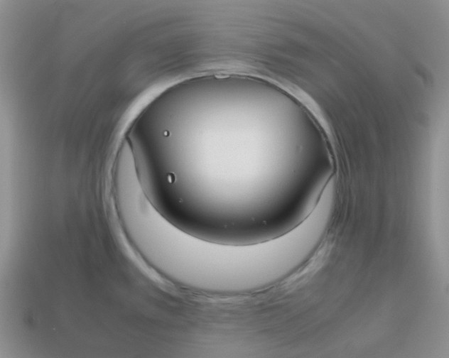 X0000113761389200910141038