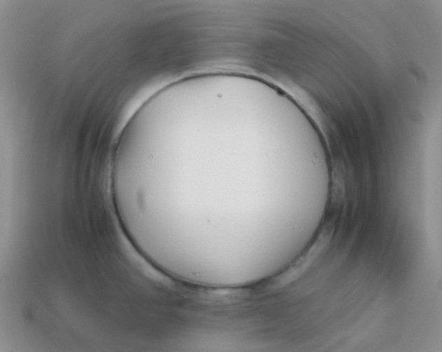 X0000113761390200910141038