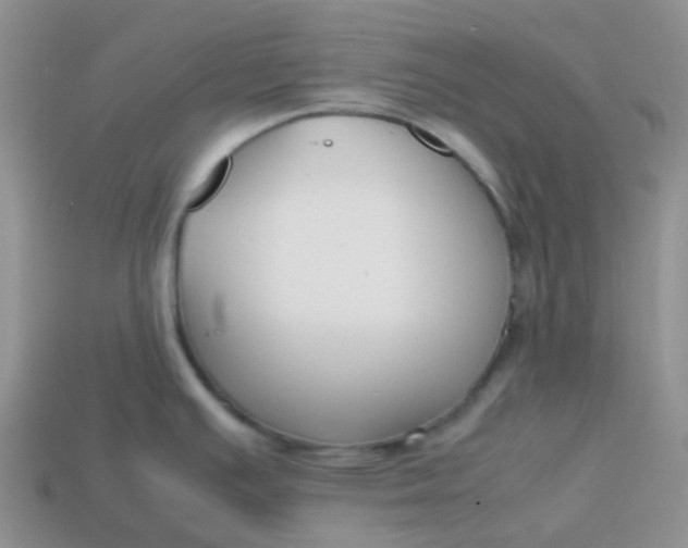 X0000113761391200910141038