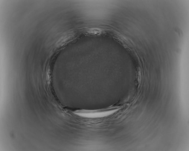X0000113761394200910141038