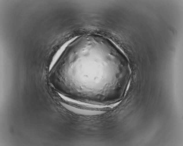 X0000113761397200910141038