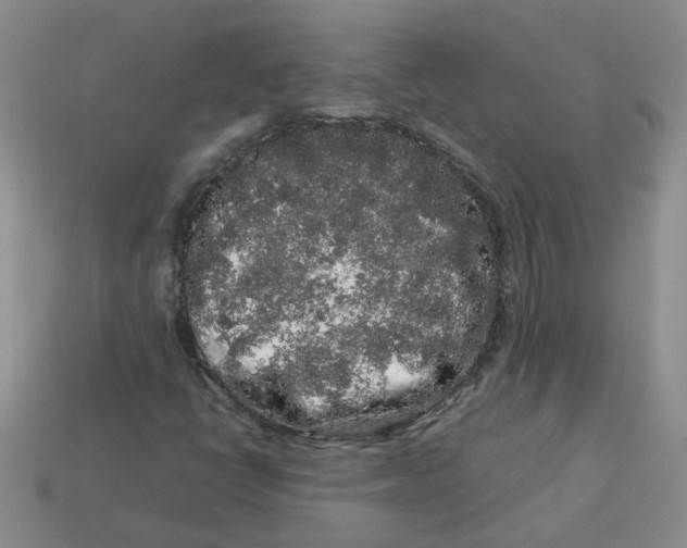 X0000113761398200910141038