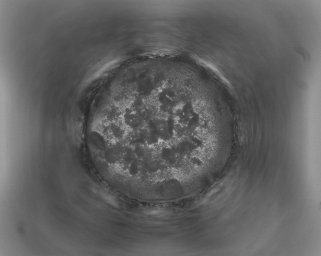X0000113761399200910141038
