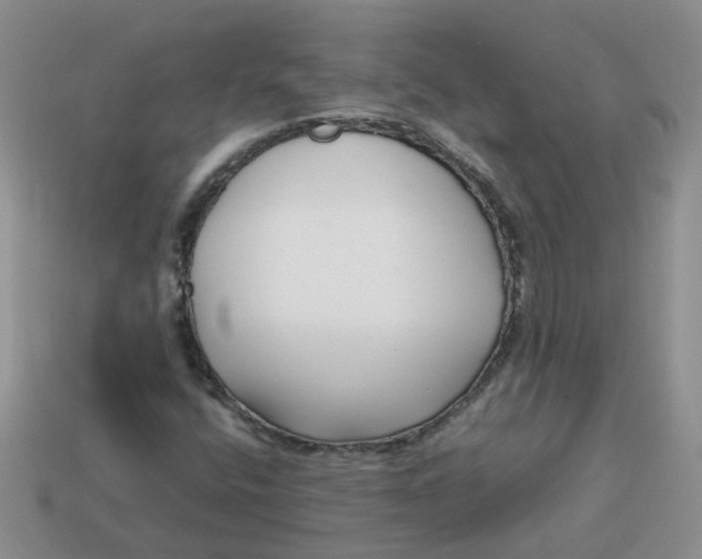 X0000113761400200910141038