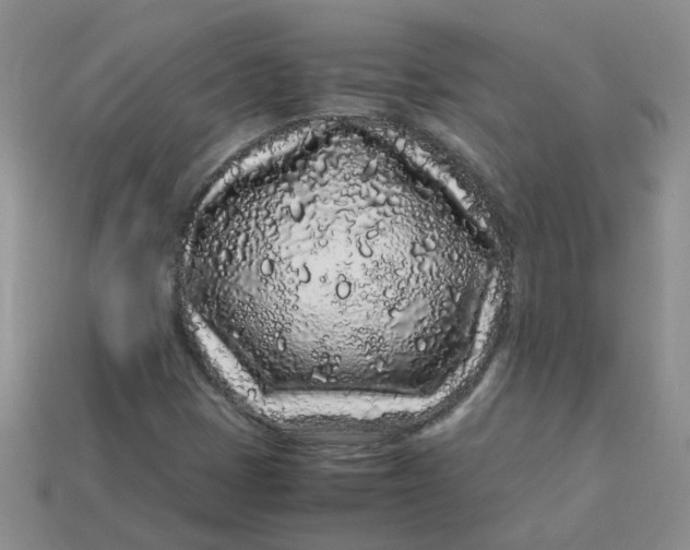 X0000113761401200910141038