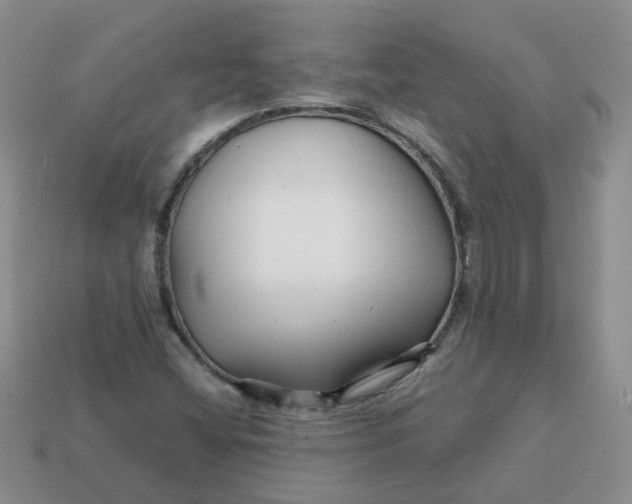 X0000113761404200910141038