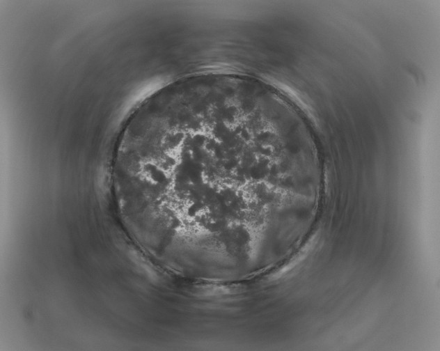 X0000113761405200910141038