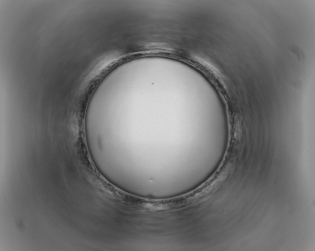 X0000113761407200910141038
