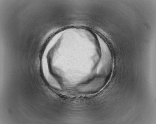 X0000113761408200910141038