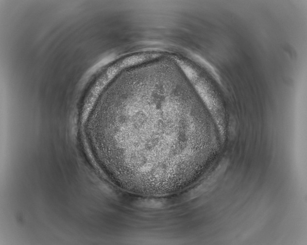 X0000113761411200910141038