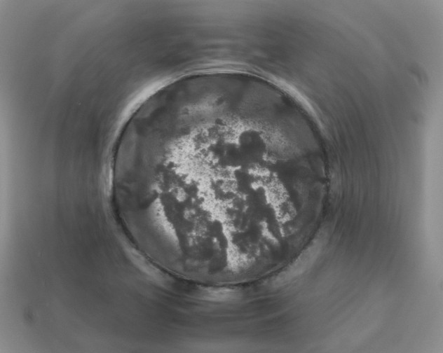 X0000113761413200910141038