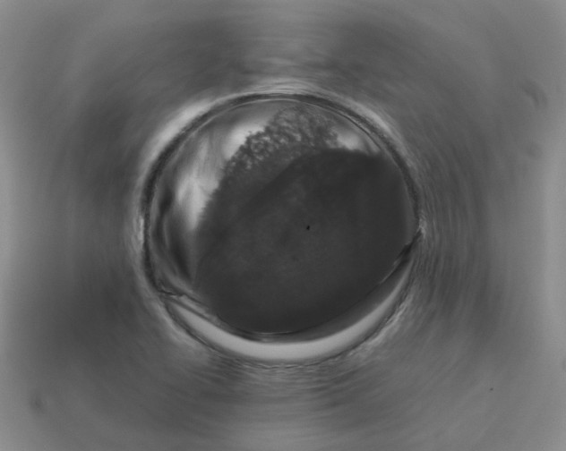 X0000113761414200910141038