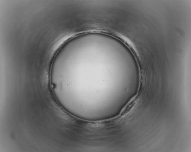 X0000113761415200910141038