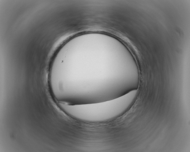 X0000113761416200910141038