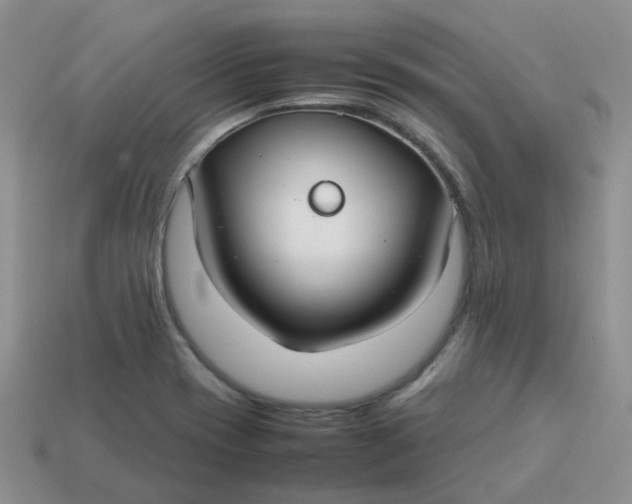 X0000113761417200910141038