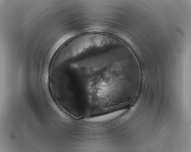 X0000113761418200910141038