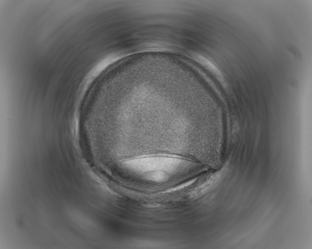 X0000113761419200910141038
