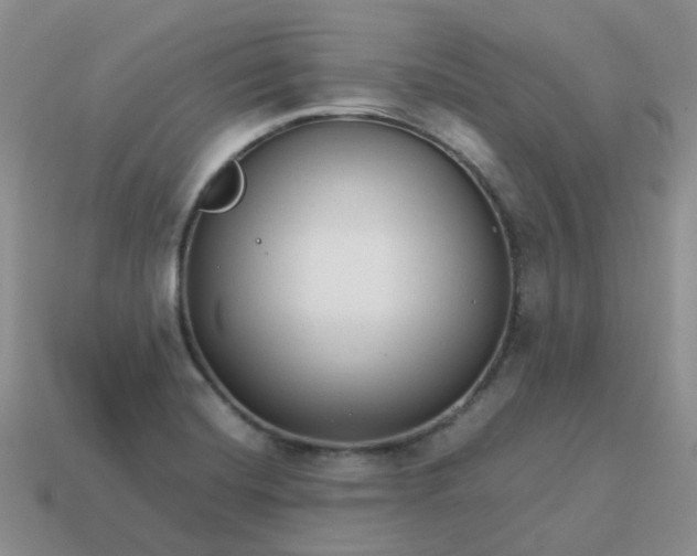 X0000113761420200910141038