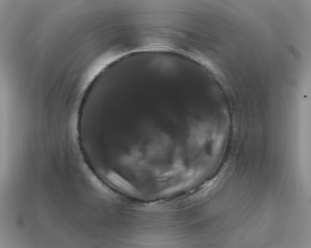 X0000113761422200910141038