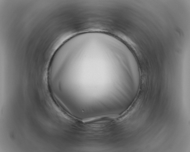 X0000113761423200910141038