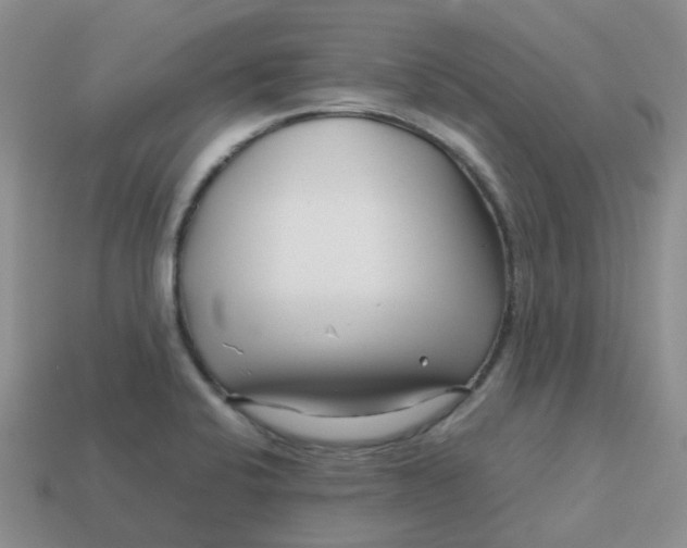 X0000113761424200910141038