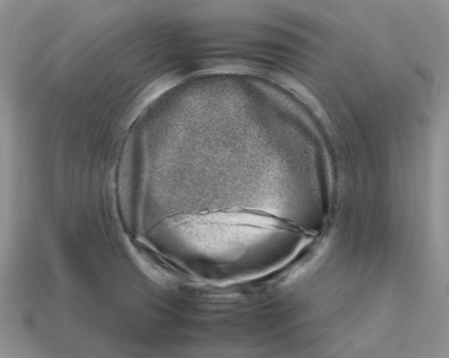 X0000113761425200910141038