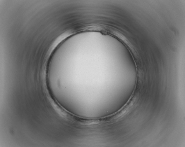 X0000113761426200910141038