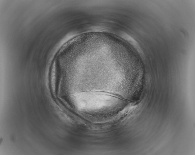 X0000113761427200910141038