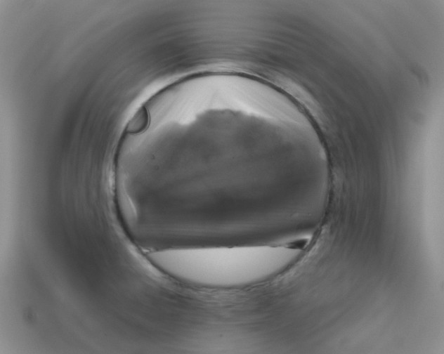X0000113761428200910141038