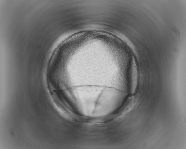 X0000113761429200910141038