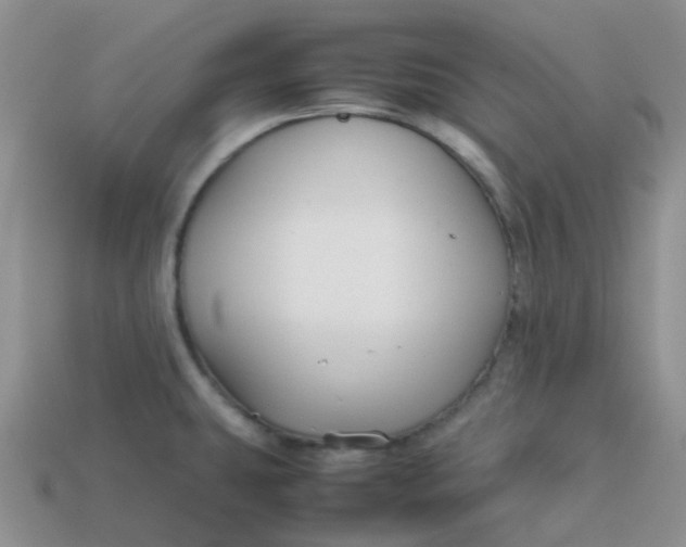 X0000113761431200910141038