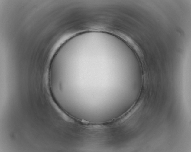 X0000113761432200910141038