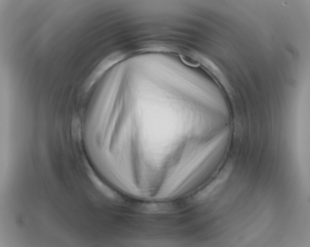 X0000113761433200910141038