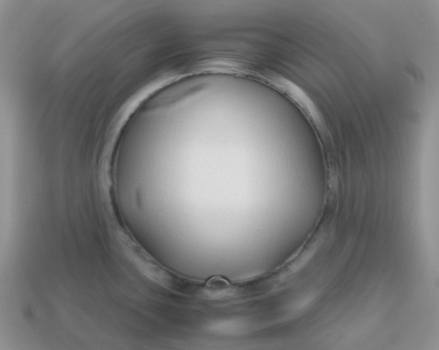 X0000113761435200910141038