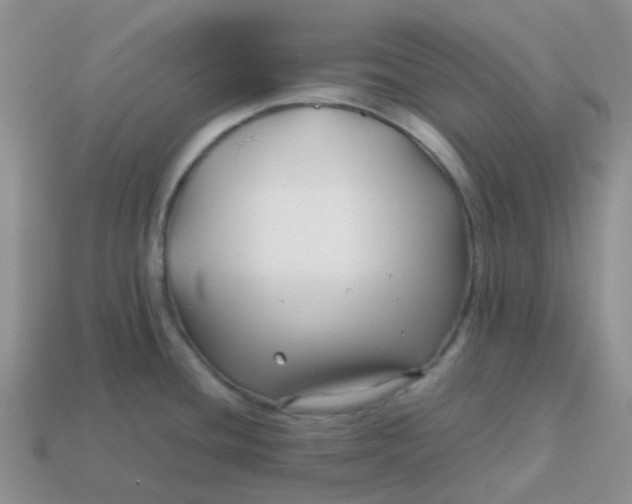X0000113761436200910141038