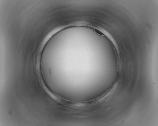 X0000113761437200910141038