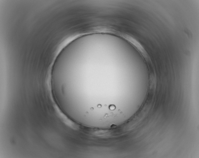 X0000113761439200910141038