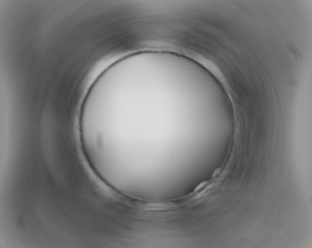 X0000113761440200910141038