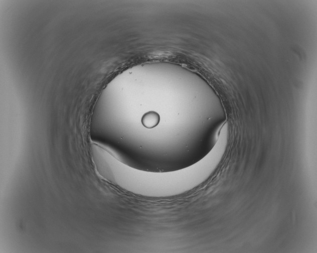 X0000113761441200910141038