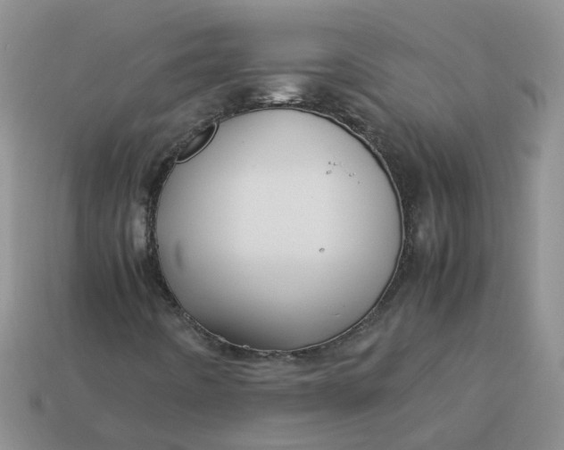 X0000113761442200910141038