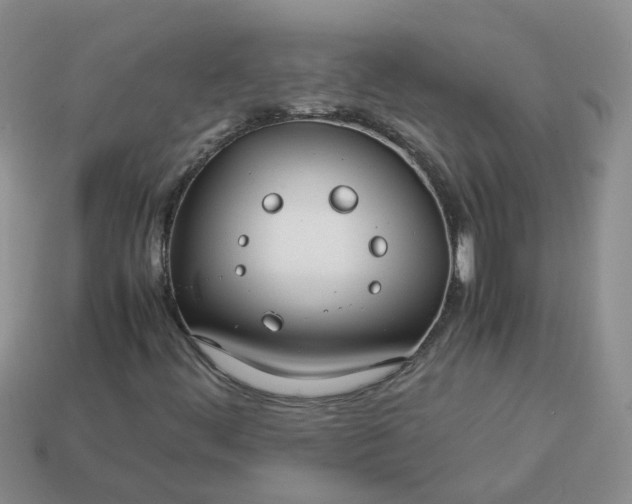 X0000113761444200910141038
