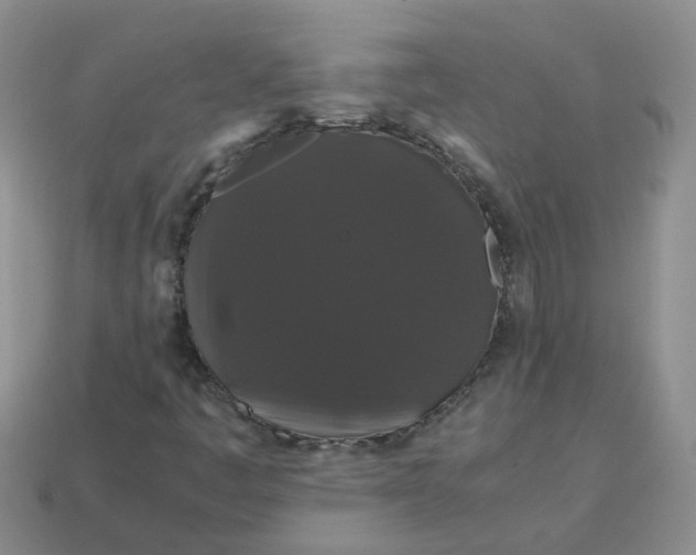 X0000113761445200910141038