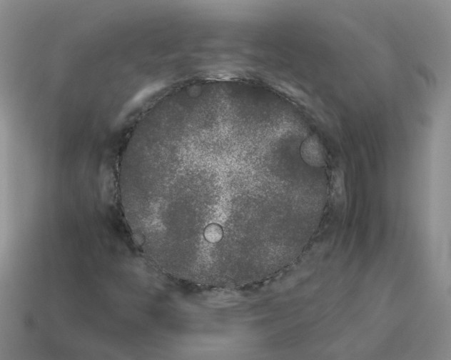 X0000113761446200910141038