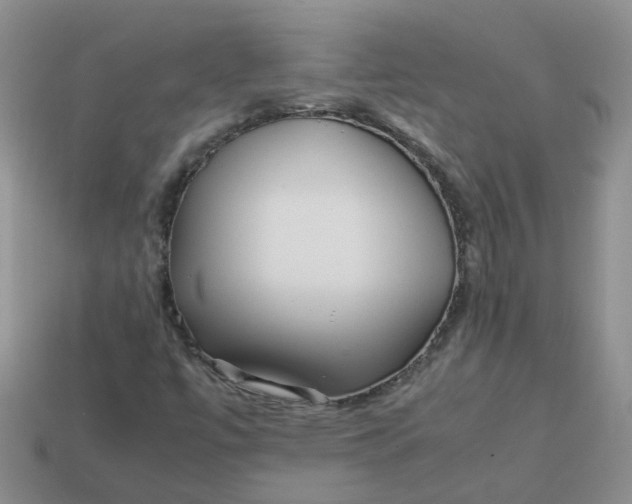 X0000113761447200910141038