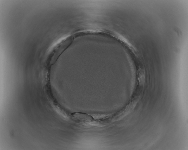 X0000113761448200910141038