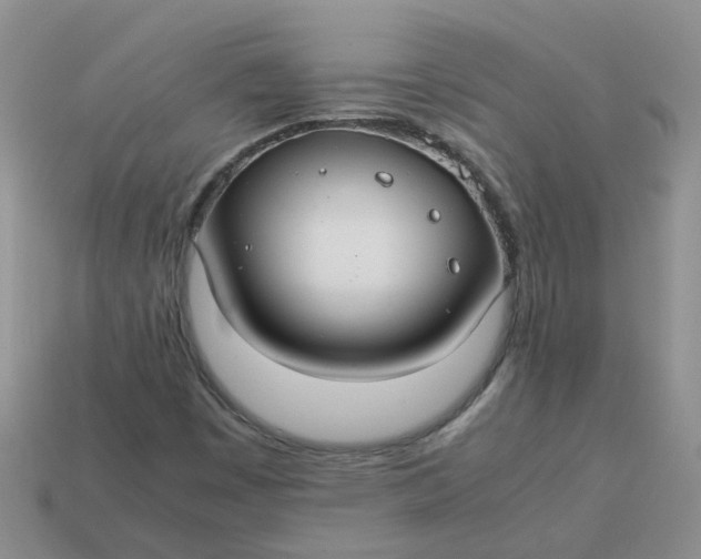 X0000113761449200910141038