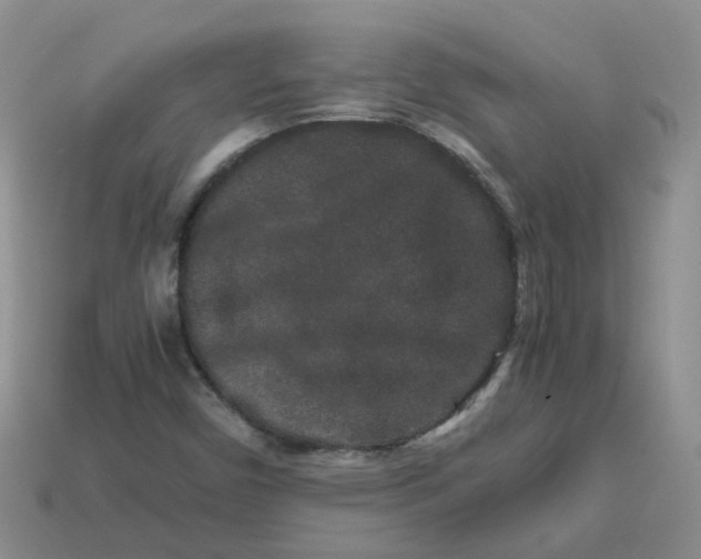 X0000113761450200910141038