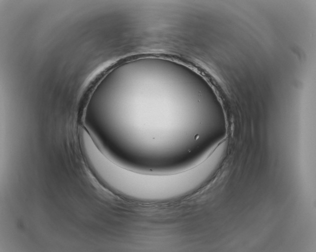 X0000113761452200910141038